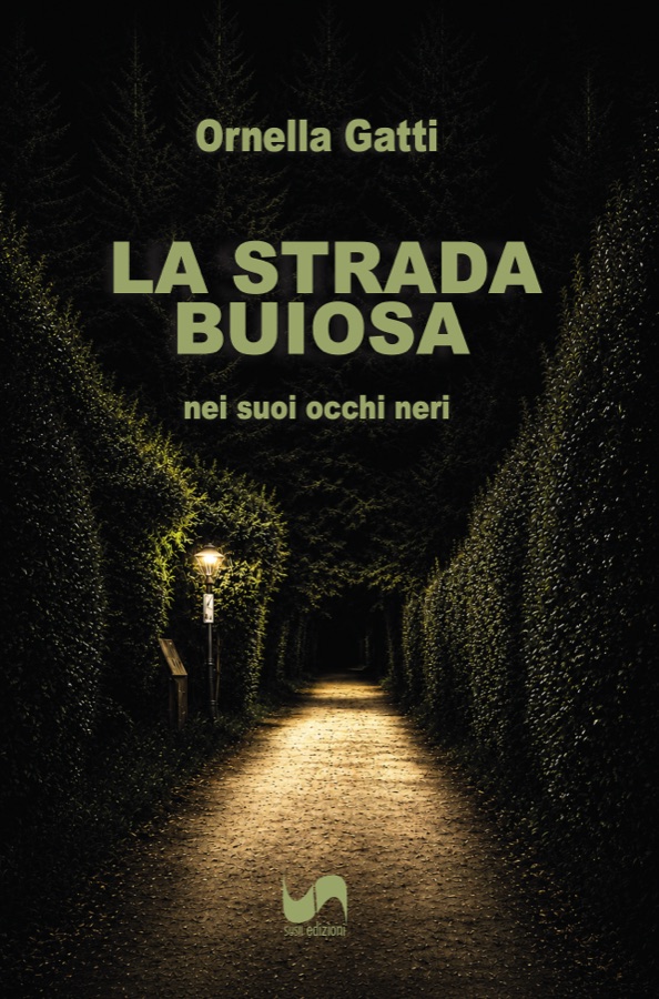 Copertina di La strada buiosa nei suoi occhi neri, di Ornella Gatti